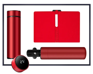 2025 Setler PL-ST0002