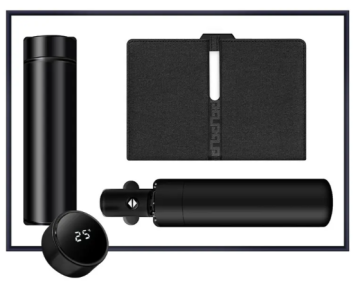 2025 Setler PL-ST0002