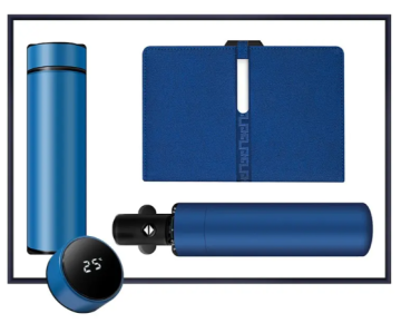 2025 Setler PL-ST0002