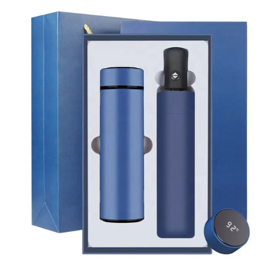 2025 Setler PL-ST0003