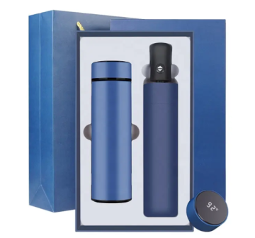 2025 Setler PL-ST0003