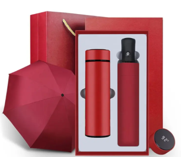 2025 Setler PL-ST0003